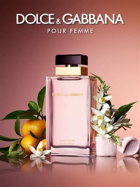 parfum dolce gabbana pour femme|Dolce & Gabbana perfume women feminine.